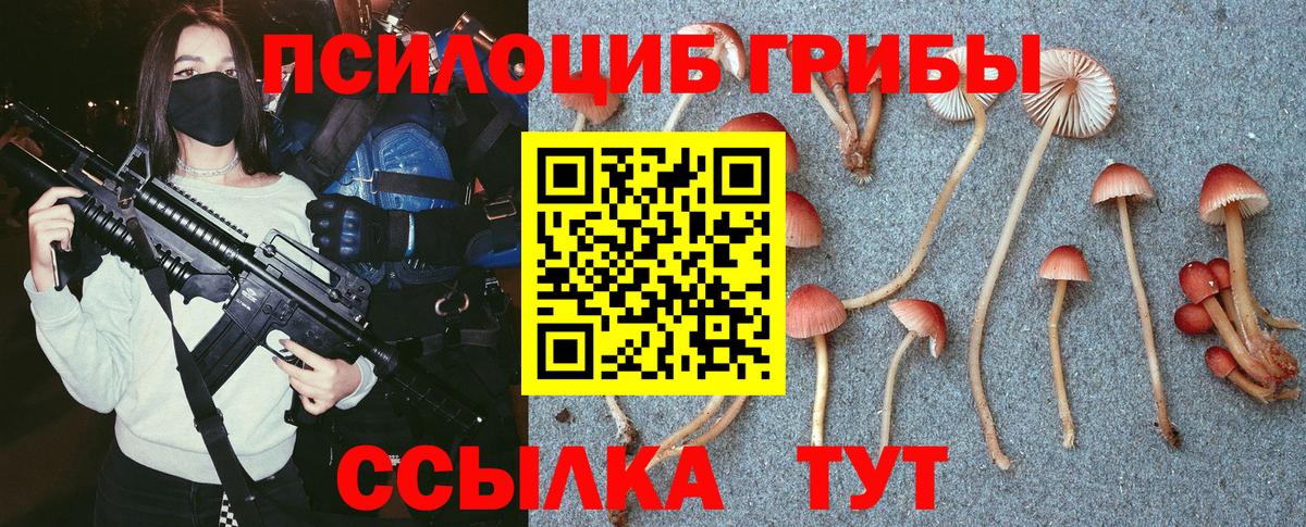  COCAIN Богданович
