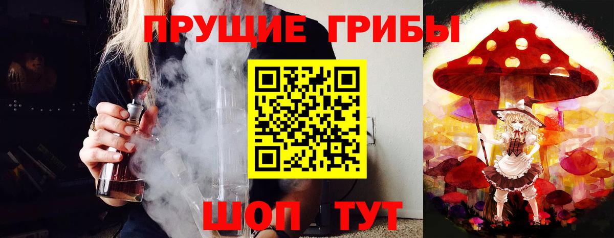 Галлюциногенные грибы Cubensis Богданович